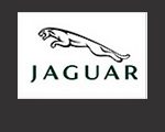 Well Done Promotions supplying NEC Exhibition Staff, Promotional Staff and Hospitality Staff to JAGUAR. Quality Promo Girls and Exhibition Girls NEC.Professional Exhibition Staff Agency NEC and Event Staffing Agency for NEC Birmingham, UK.