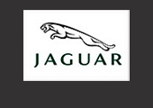 Well Done Promotions supplying NEC Exhibition Staff, Promotional Staff and Hospitality Staff to JAGUAR. Quality Promo Girls and Exhibition Girls NEC.Professional Exhibition Staff Agency NEC and Event Staffing Agency for NEC Birmingham, UK.